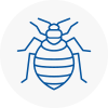 Bed Bug Extermination In Minehead