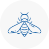 Bee Nest Removal Minehead