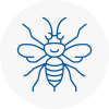 Minehead Hornet Nest Removals