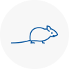 Mice Exterminators In Minehead